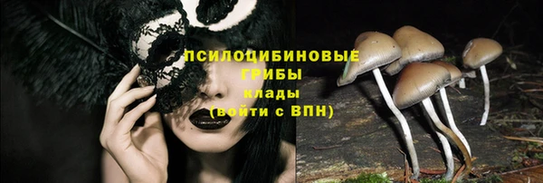 кристаллы Новозыбков