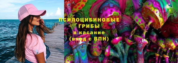MESCALINE Новодвинск