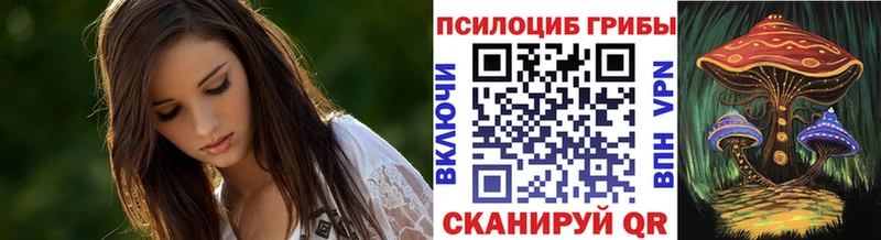 Псилоцибиновые грибы прущие грибы  Купить закладки  Калининград 